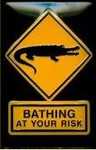 25275 Blechschild Sonstiges Bathing Risk (20x30cm) Nitsche