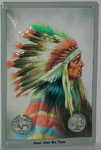 26312 Blechschild Sonstiges Indianer (20x30cm) Nitsche