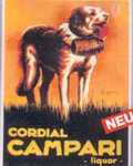 25720 Blechschild Getraenke alkoholisch Campari Hund (30x40cm) Nitsche