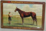26579 Blechschild Getraenke alkoholfrei Apollinaris Pferd (30x20cm) Nitsche