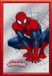 18120 Spiegelbild Spiderman (20x30cm) Nitsche