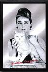 Titelbild des Albums: Audrey Hepburn